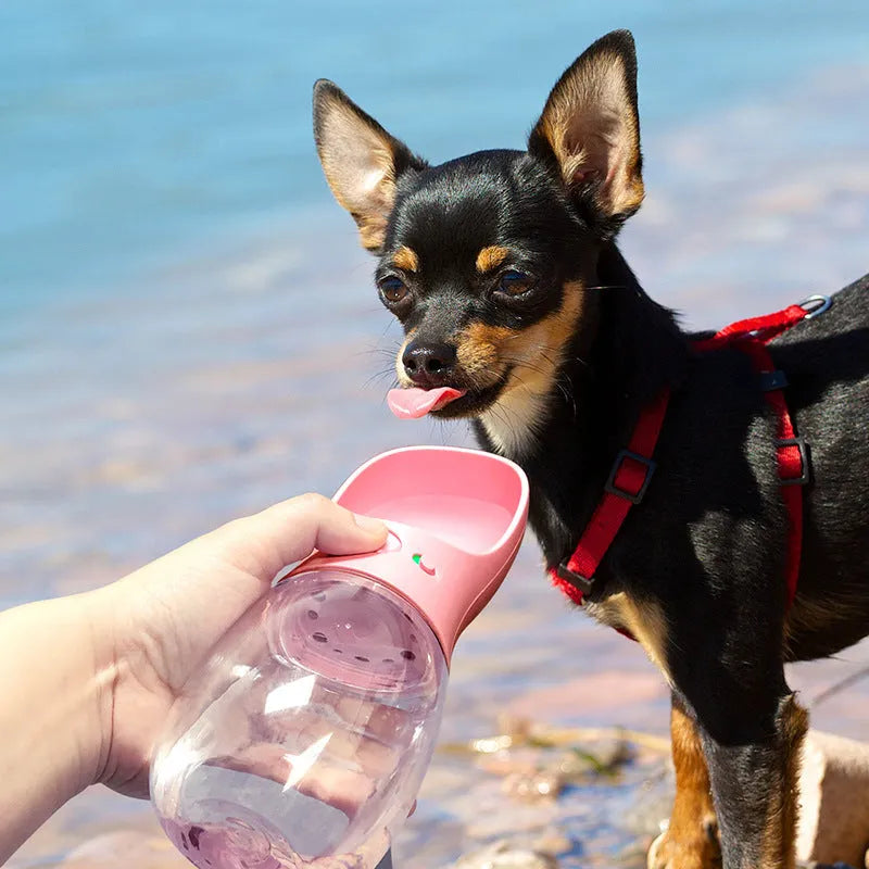 Outdoor portable handheld pet drinking fountain in black, lake blue, pink, royal blue, and white with multiple sizes 300-550ML