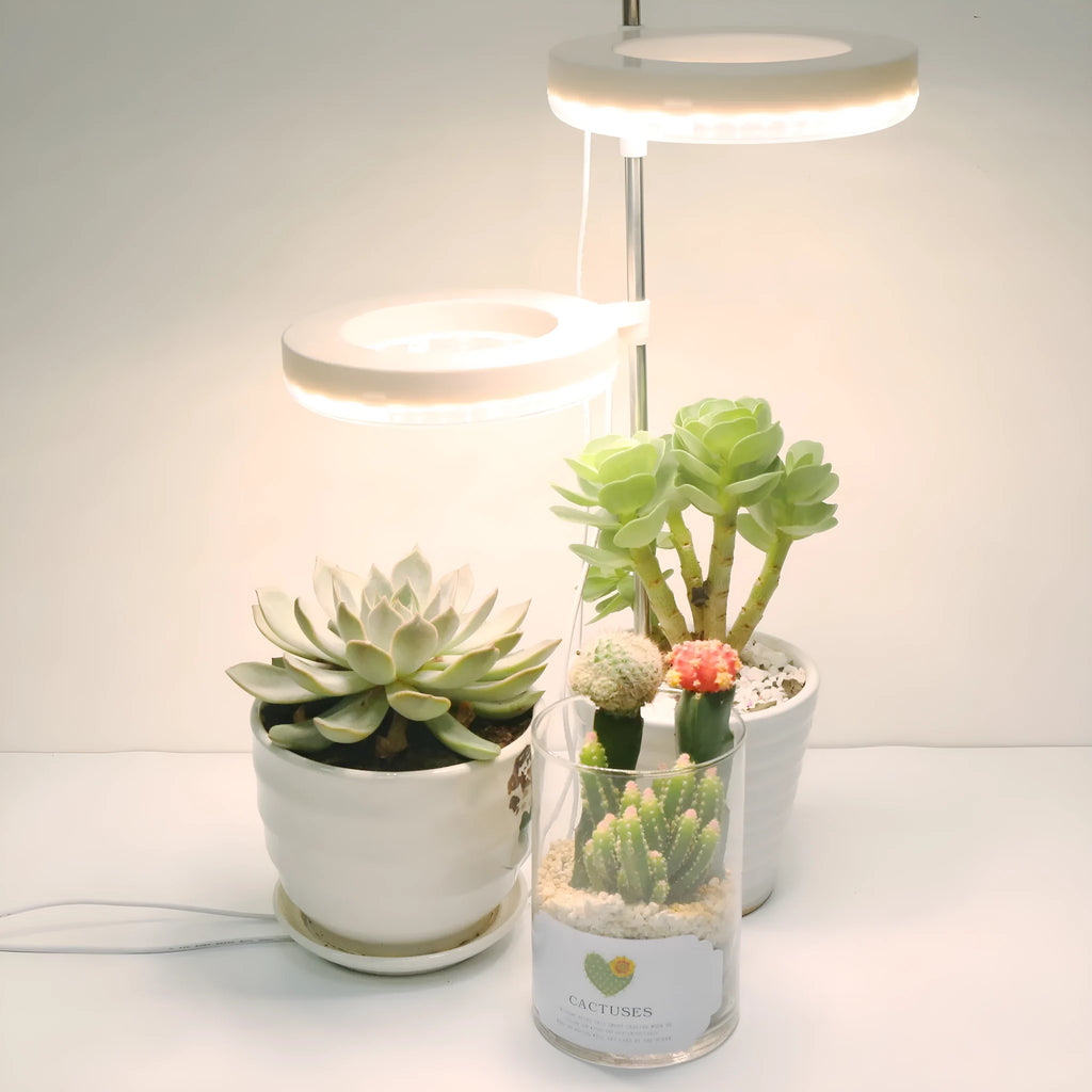 Compact plant growth lamp with full spectrum light for home office desk plants