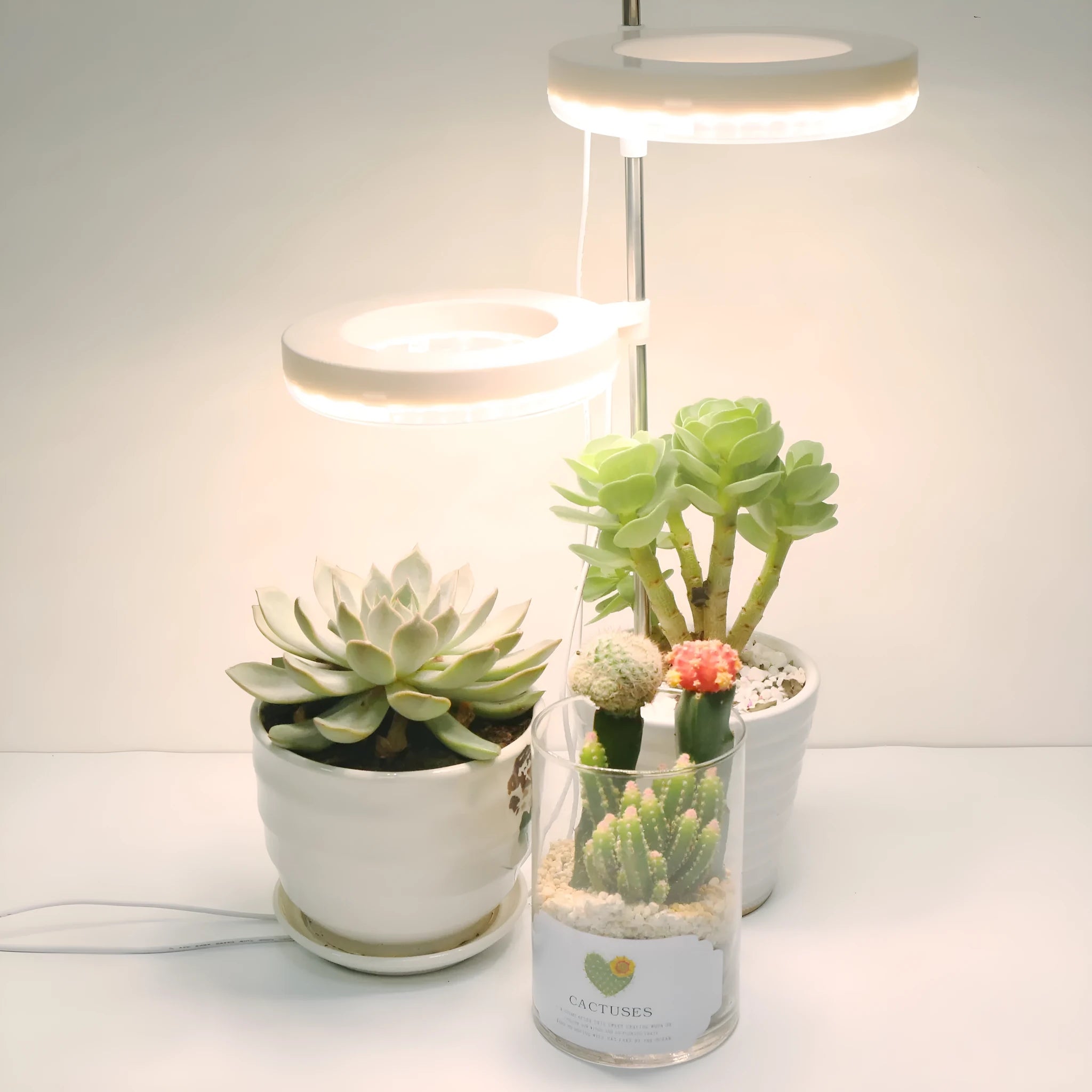Compact plant growth lamp with full spectrum light for home office desk plants