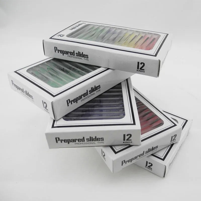 Set of 48 colour-coded plastic microscope slides for children's biology education