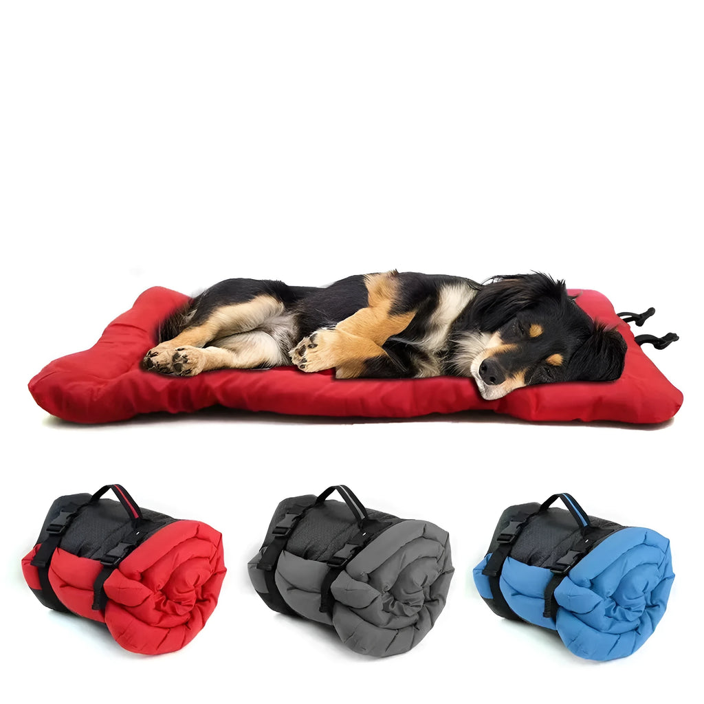Blue foldable waterproof dog bed shown both open and secured with buckles for portable carry