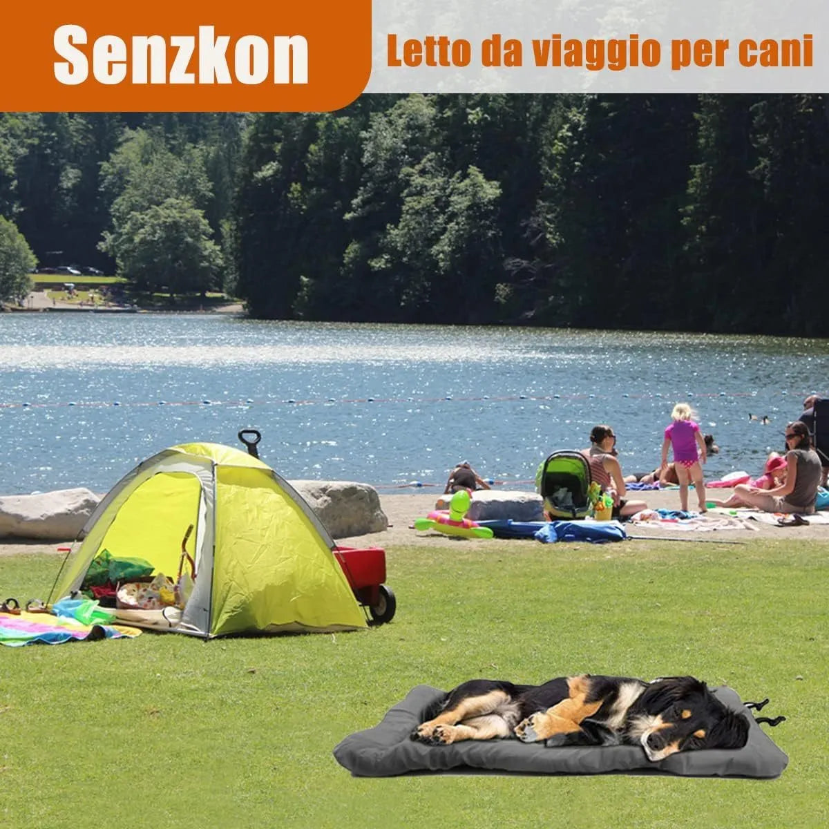 Blue foldable waterproof dog bed shown both open and secured with buckles for portable carry