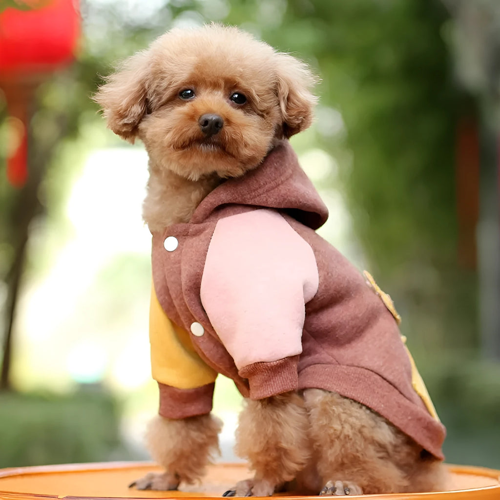 Cotton pet sweatshirt for small dogs and cats in brown, green, pink colours