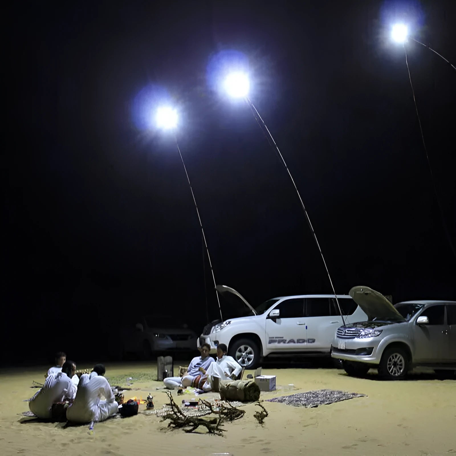 White LED fishing rod light with remote control on telescopic pole for night fishing and camping