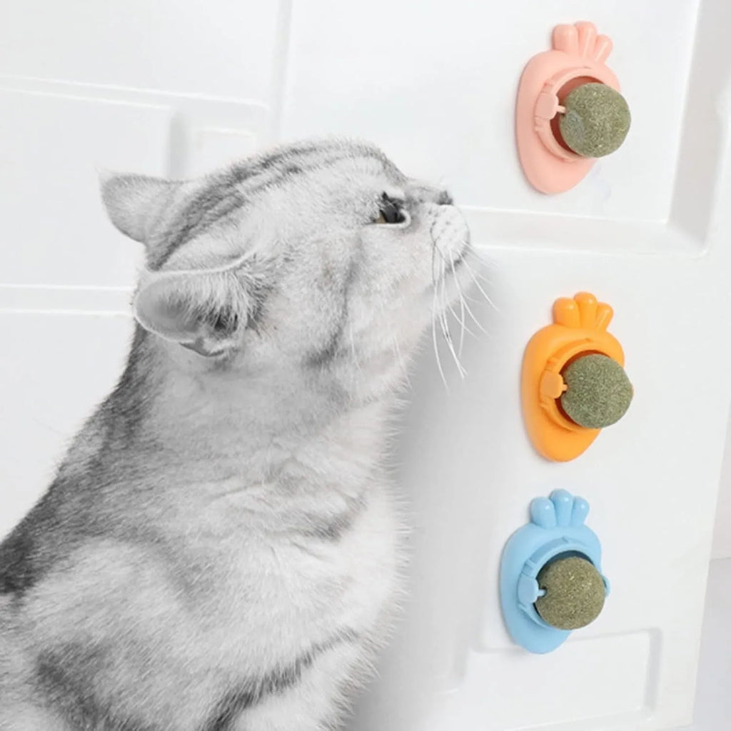 Blue carrot-shaped catnip ball toy with self-adhesive sticker for wall mounting