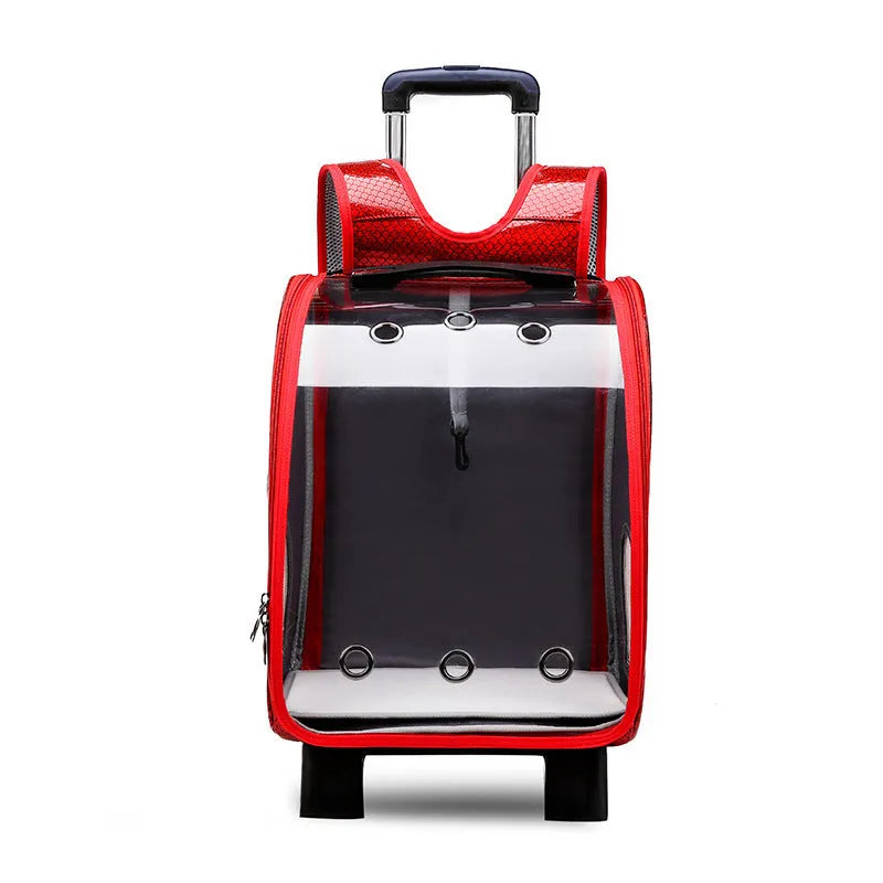 Transparent folding pet carrier bag for small dogs and cats with shoulder strap