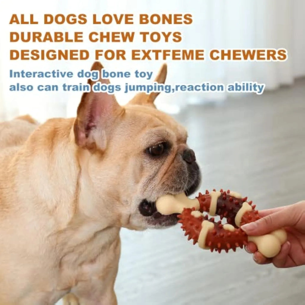 Natural rubber bone-shaped dog teeth grinding toy shown in two sizes for oral health and anxiety relief