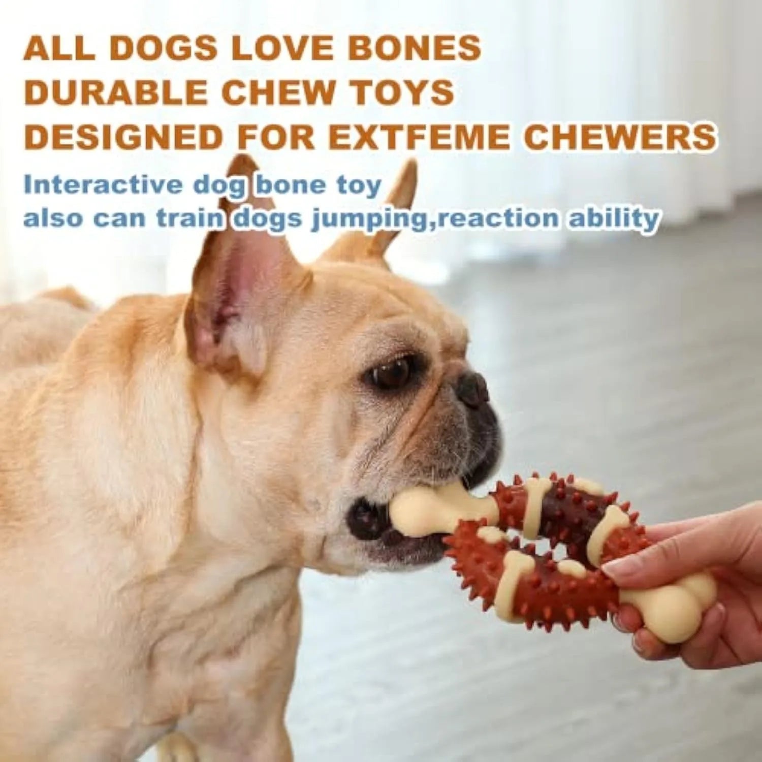 Natural rubber bone-shaped dog teeth grinding toy shown in two sizes for oral health and anxiety relief
