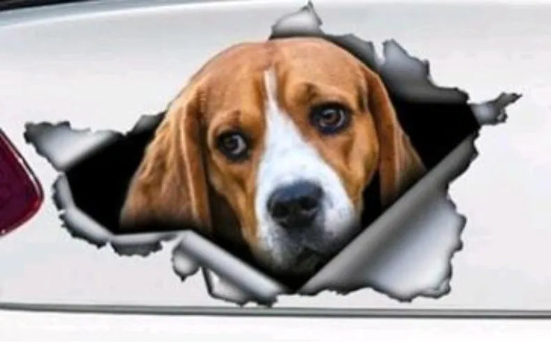 Car tail pet pattern sticker made of polyethylene measuring 20x15cm in picture colour with text design
