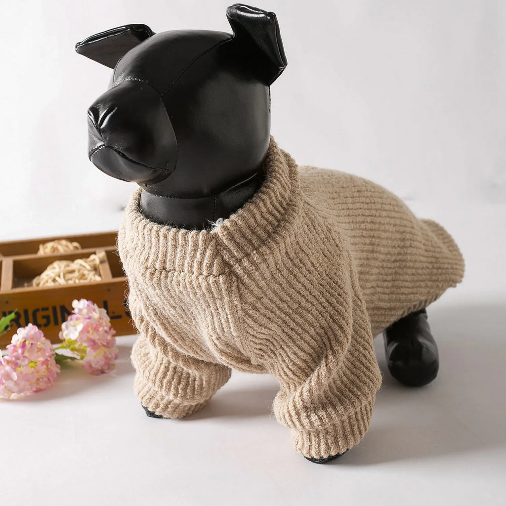 Brown cloth pullover sweater for small breed dogs on a Bichon Frise