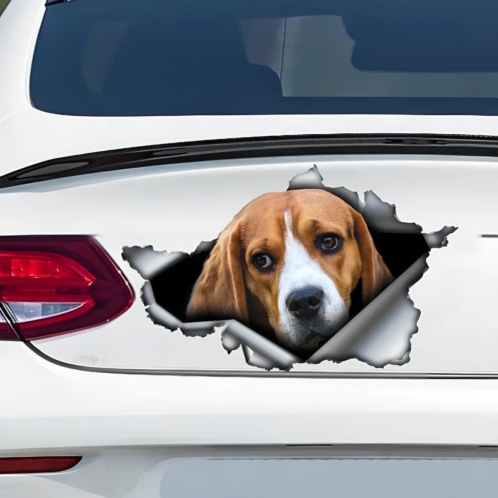 Car tail pet pattern sticker made of polyethylene measuring 20x15cm in picture colour with text design