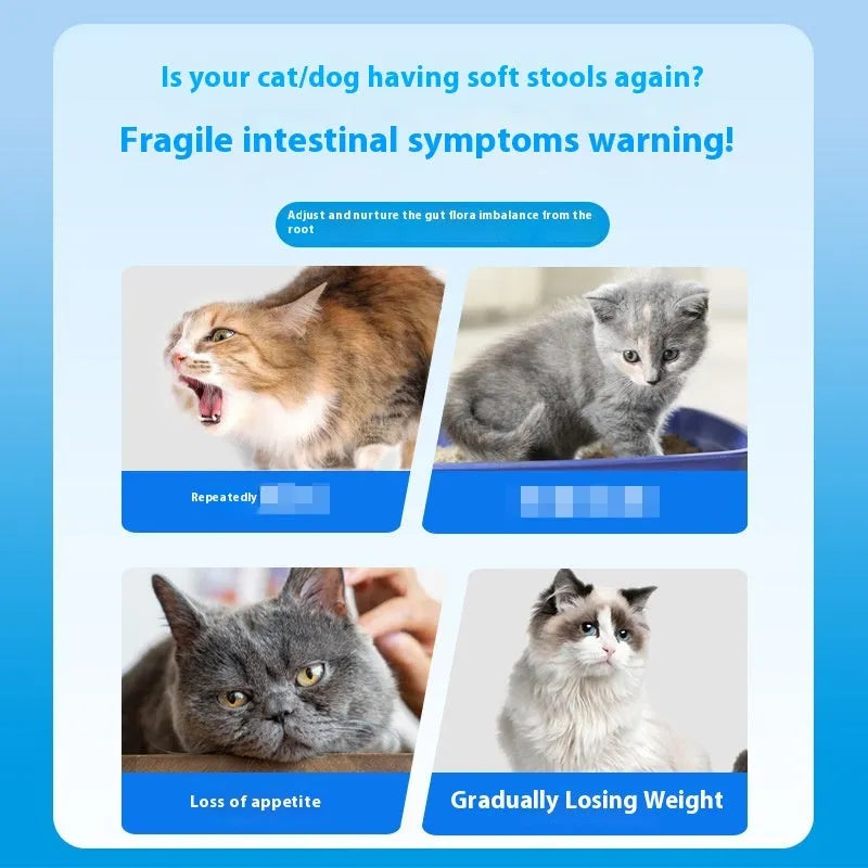 Bottle of 180 pet probiotic tablets for digestive health support in dogs and cats