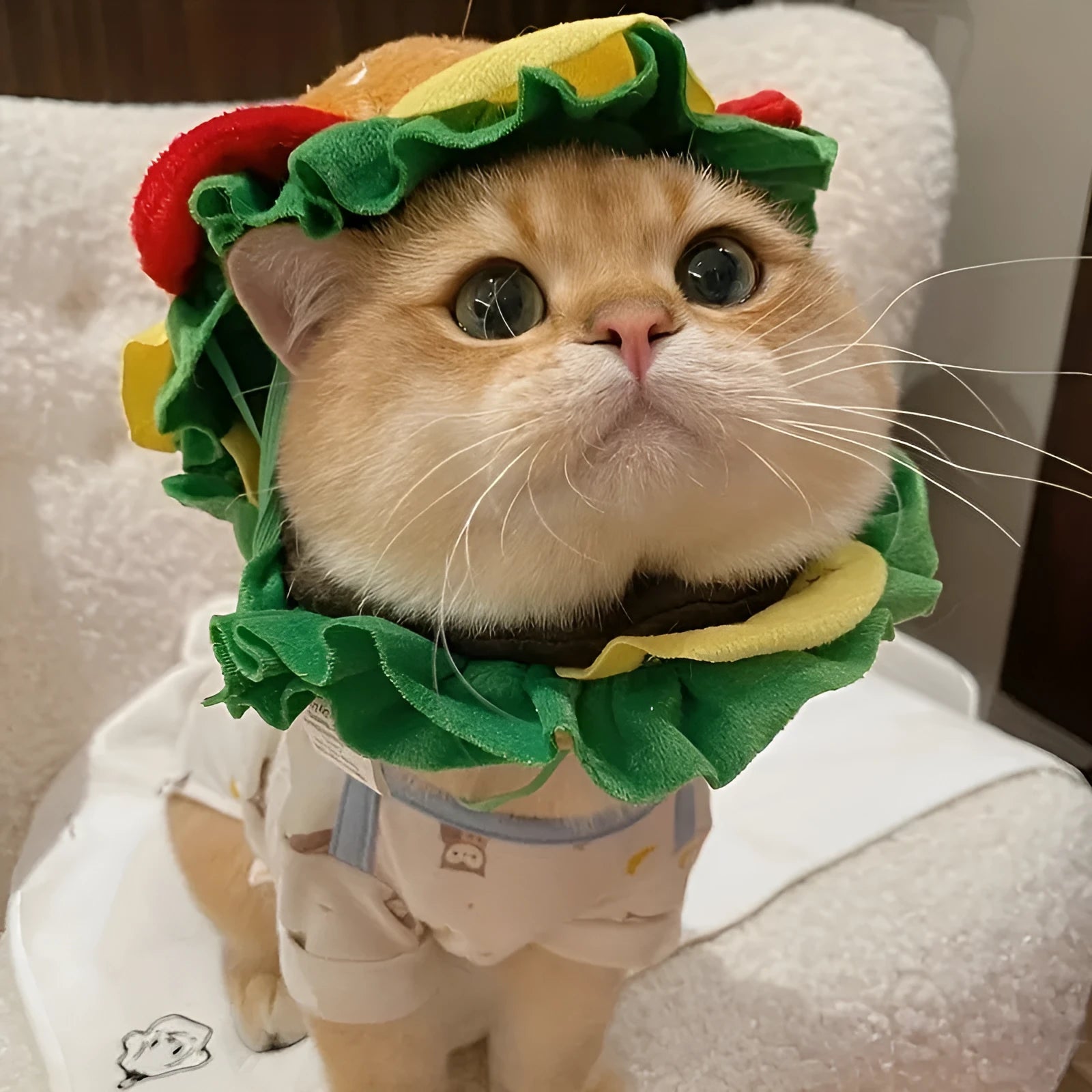 Cartoon burger hat headdress collar for a cat, showing soft fabric construction and collar fastening.