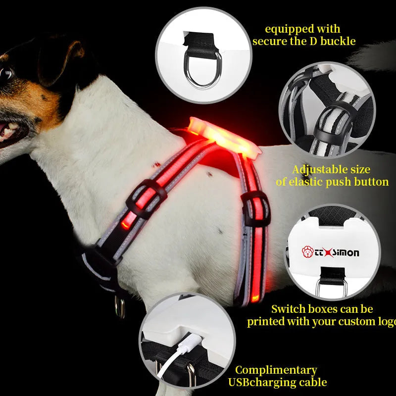 Nylon luminous dog hand holding rope with seven-colour transformation and charging cable