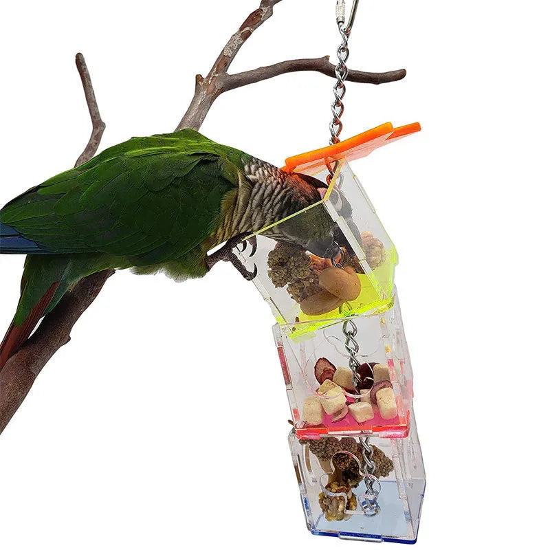 Clear acrylic bird foraging toy measuring 5cm by 5cm by 32cm for parrot education and food containment