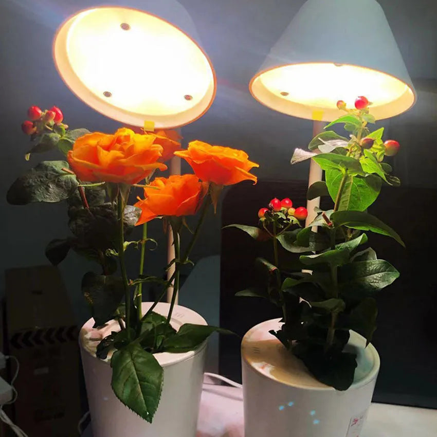 White desktop hydroponic plant growth machine for soilless cultivation