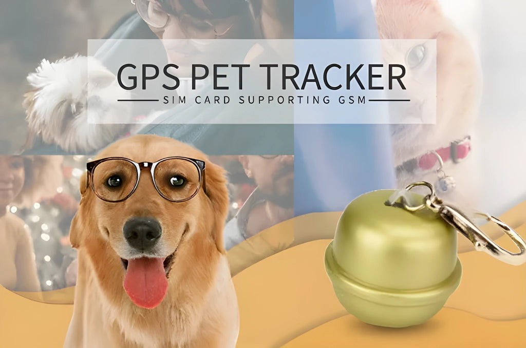GPS dog collar pet tracker with adjustable strap showing mobile app tracking interface