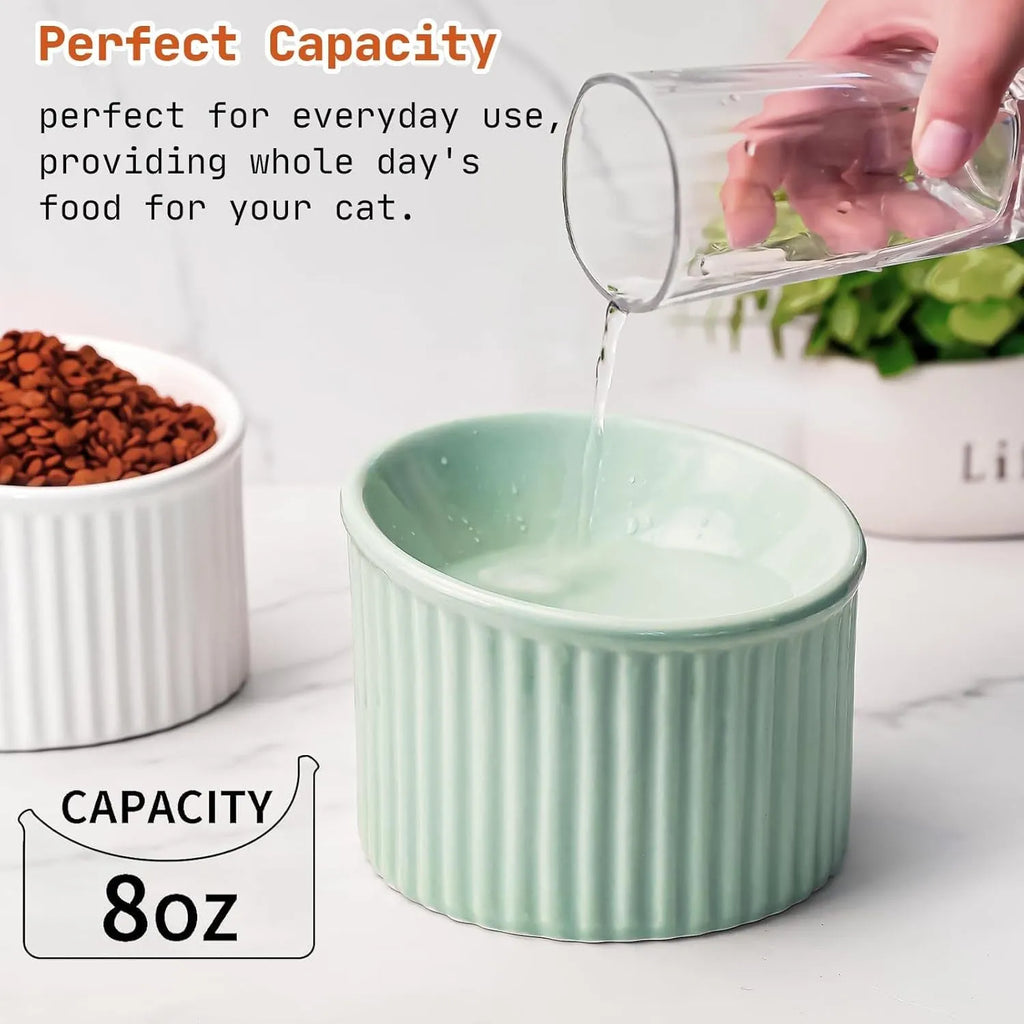 Ceramic elevated cat bowl in green or yellow with a tilted, round, whisker-friendly design.