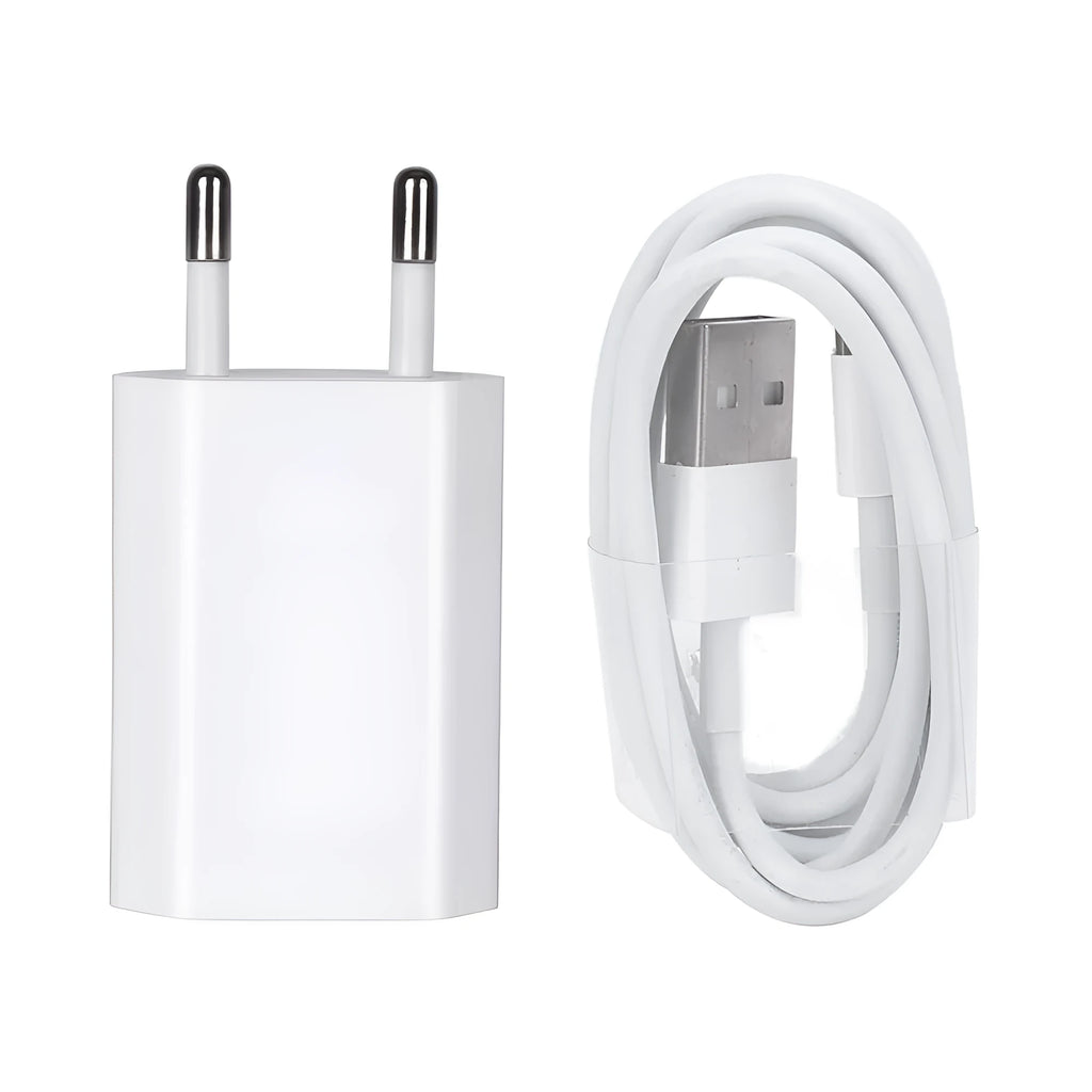 Compact white USB travel charger with 5V 2A output next to iPhone and iPad showing compatibility