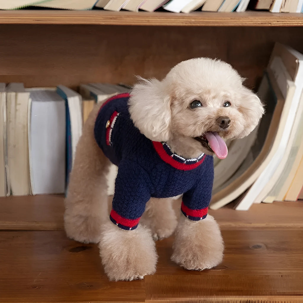 Blue wool princess-style sweater cardigan for dogs and cats shown on a pet model
