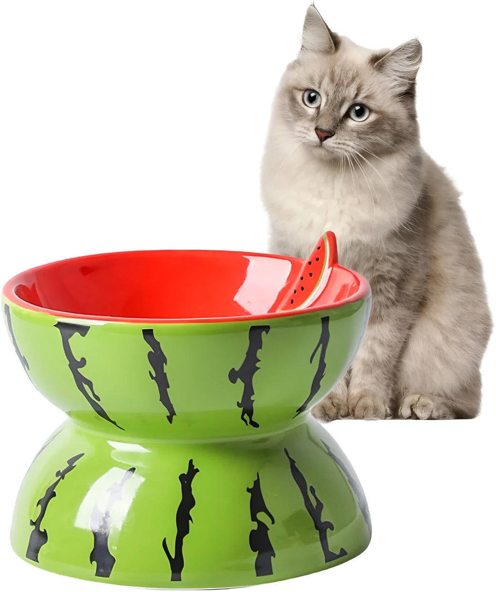 Ceramic raised cat bowl in orange with tilted design for food and water