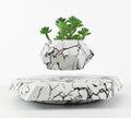 Small marble-colour magnetic levitating plant pot rotating above its base