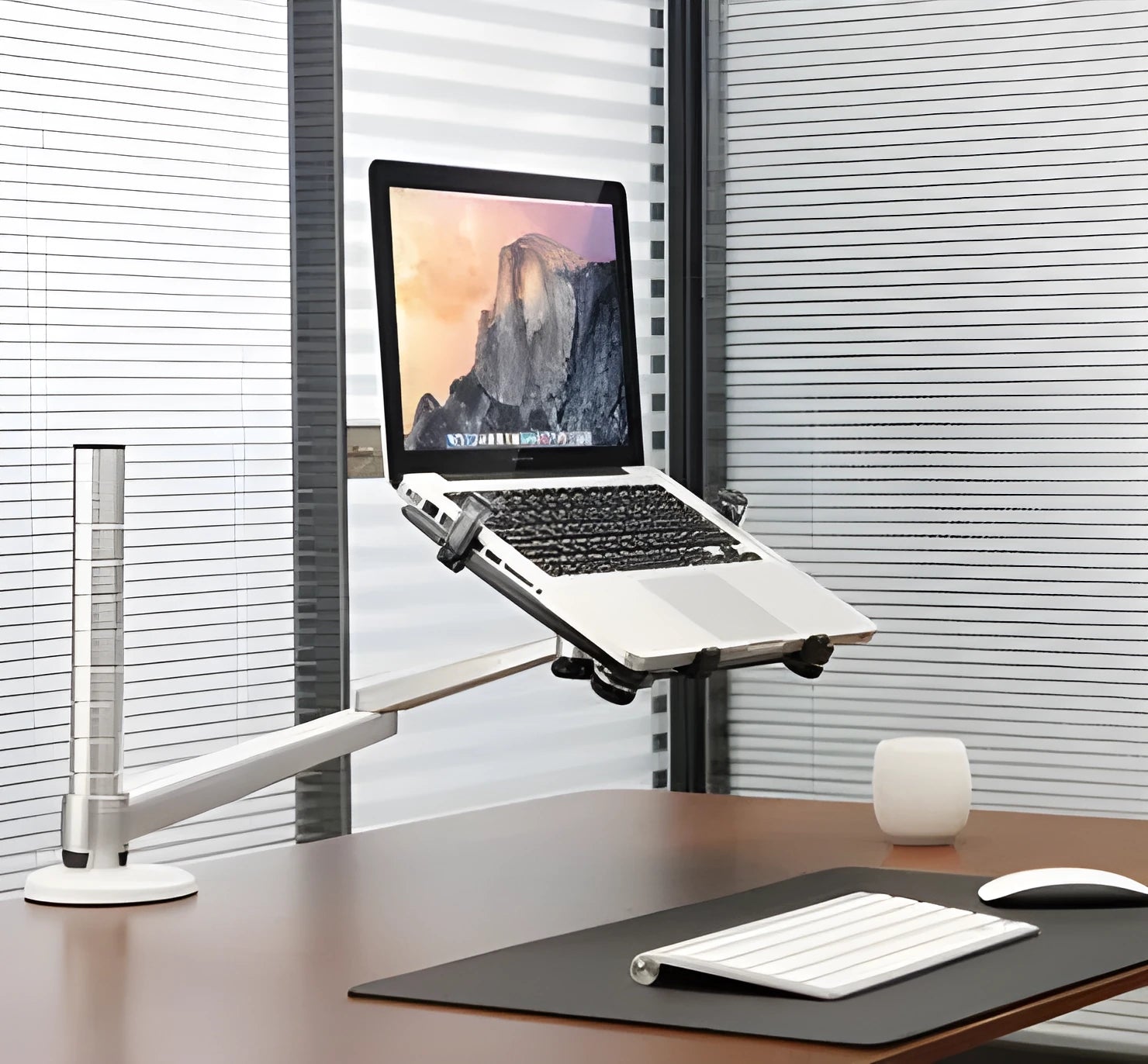 Dual arm laptop stand holder with aluminium alloy arms, laptop and tablet mounted, desktop clamp base