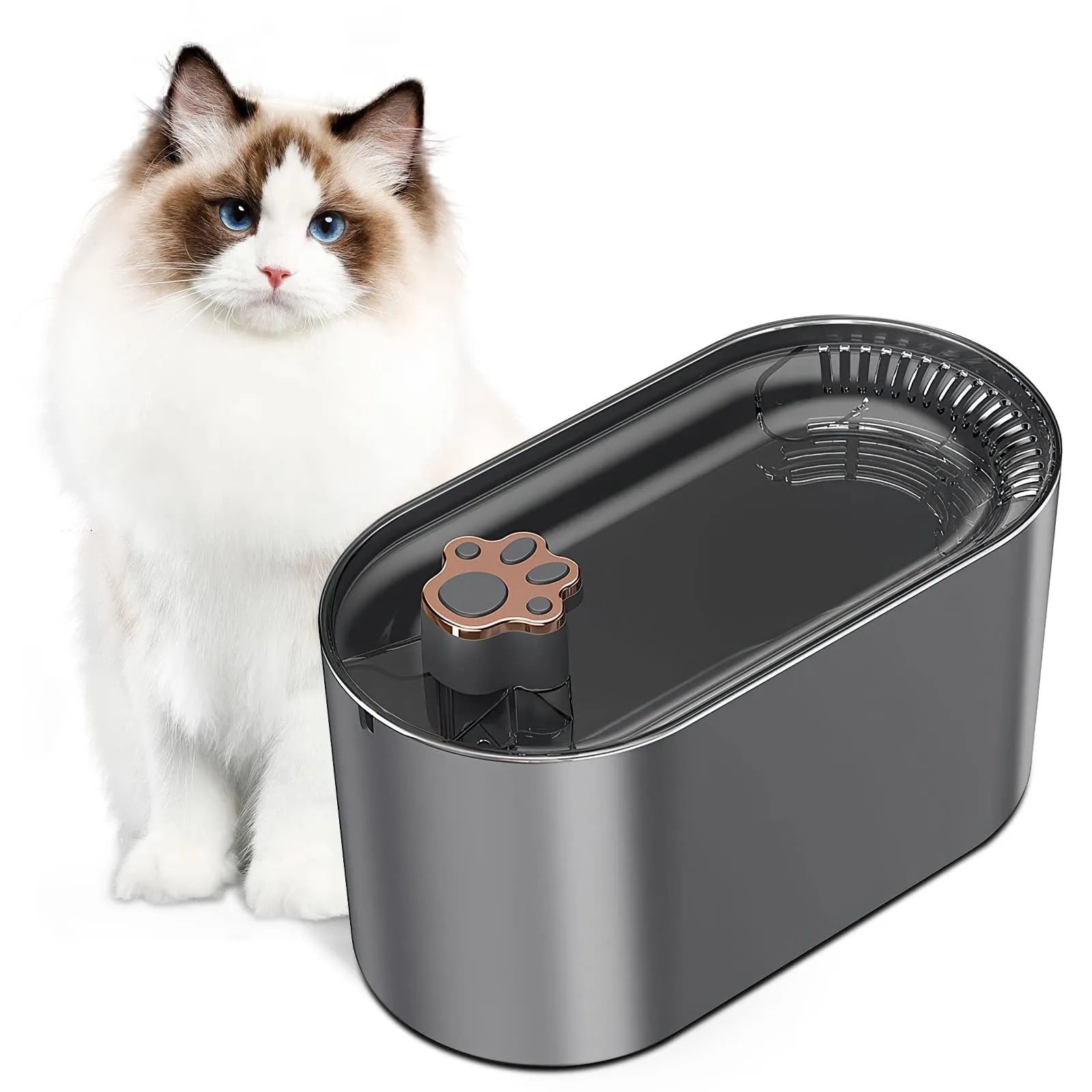 Berlin blue automatic pet water fountain with LED light on a 3-litre BPA-free plastic base