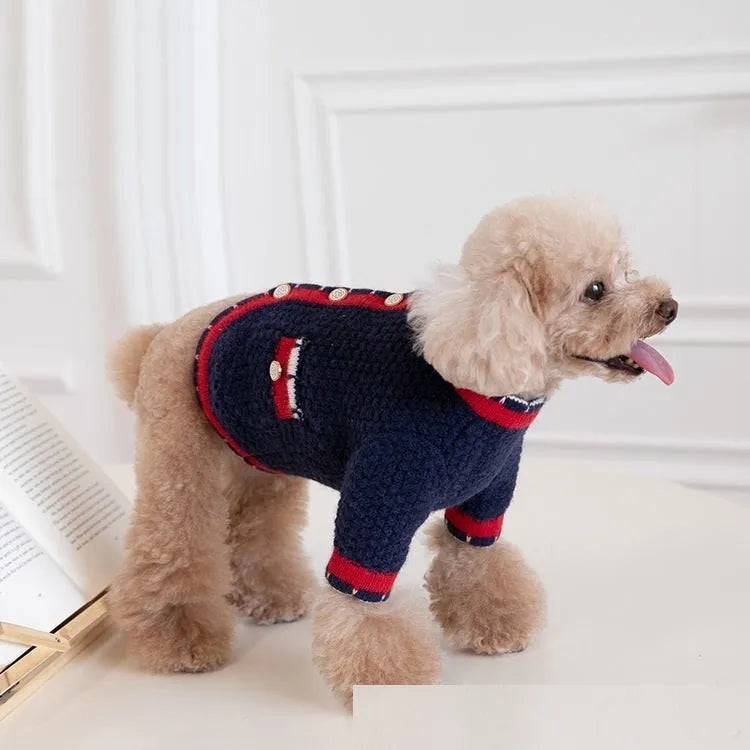 Blue wool princess-style sweater cardigan for dogs and cats shown on a pet model