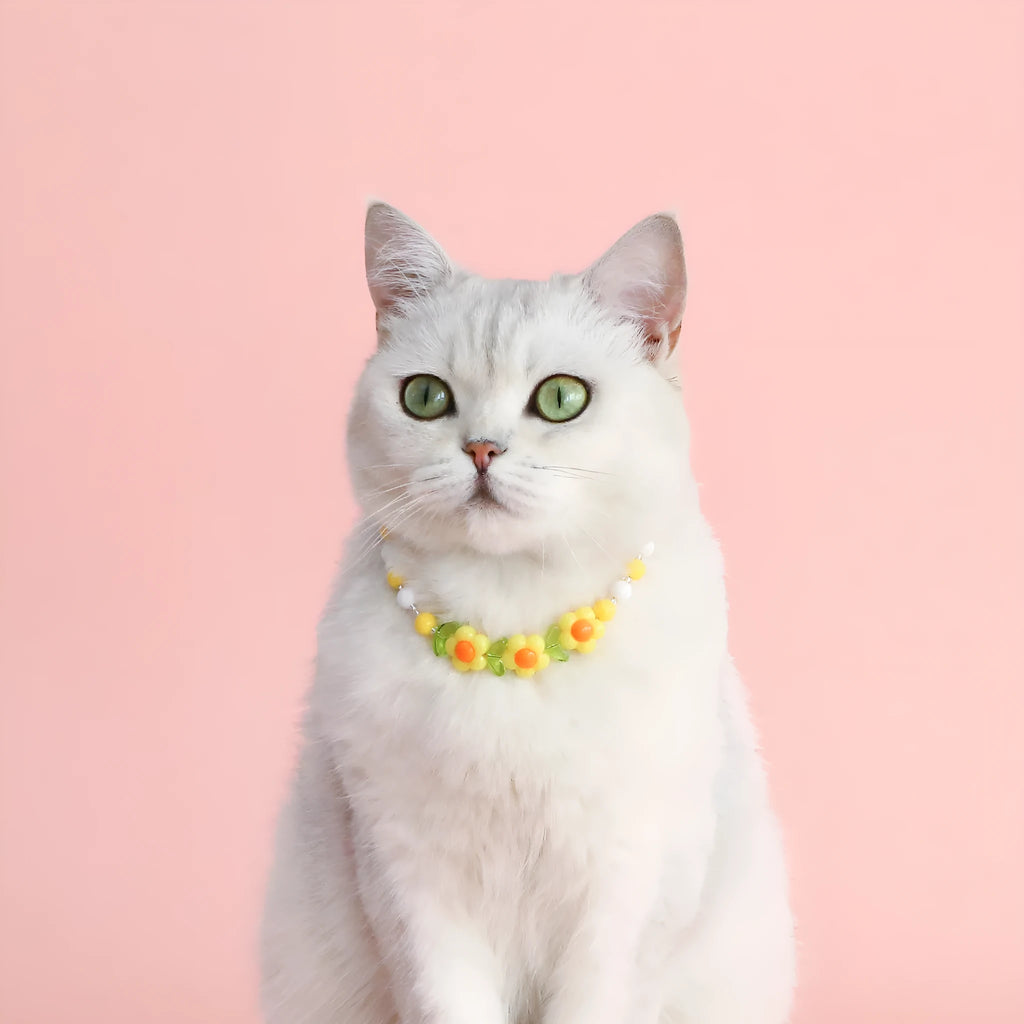Colourful plastic pearl bead cat collar with a small flower charm on a white background.