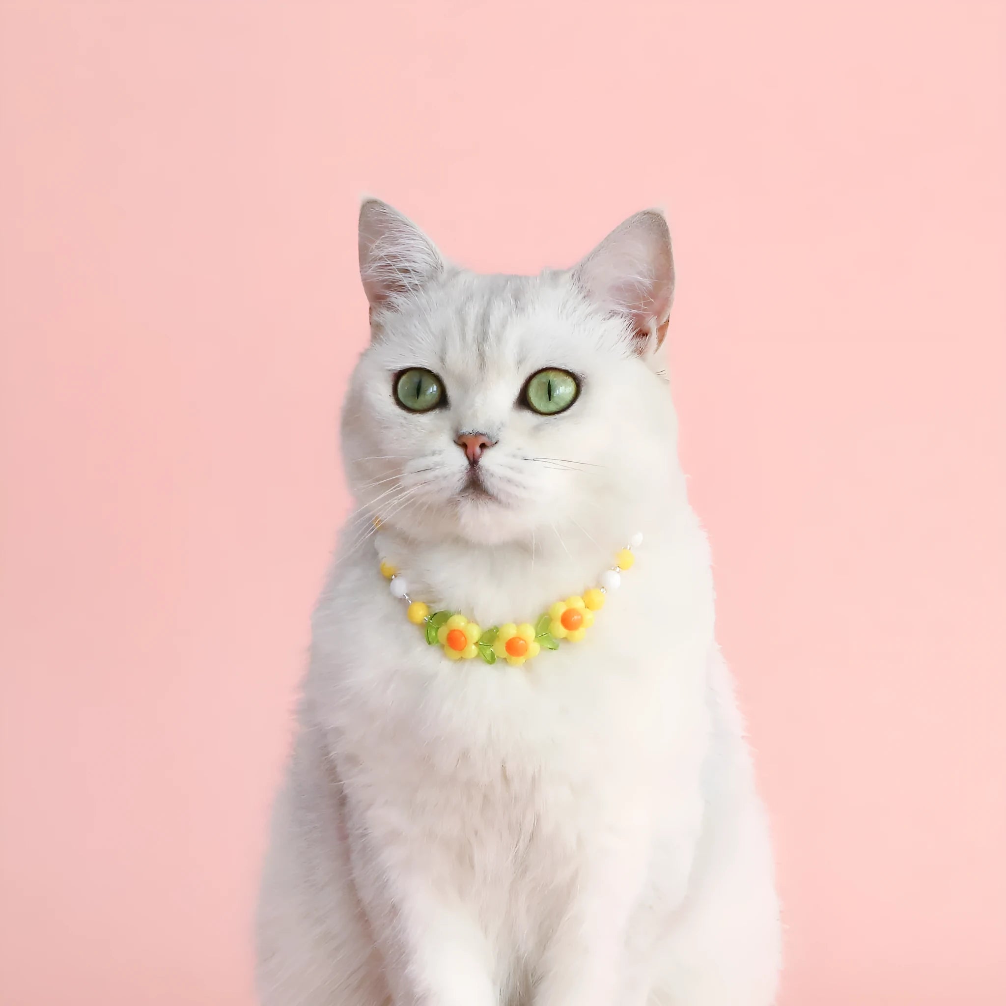 Colourful plastic pearl bead cat collar with a small flower charm on a white background.