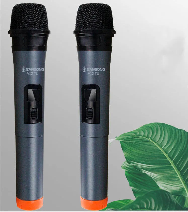 Black dynamic microphone V12 with heart pattern for computer and stage audio applications