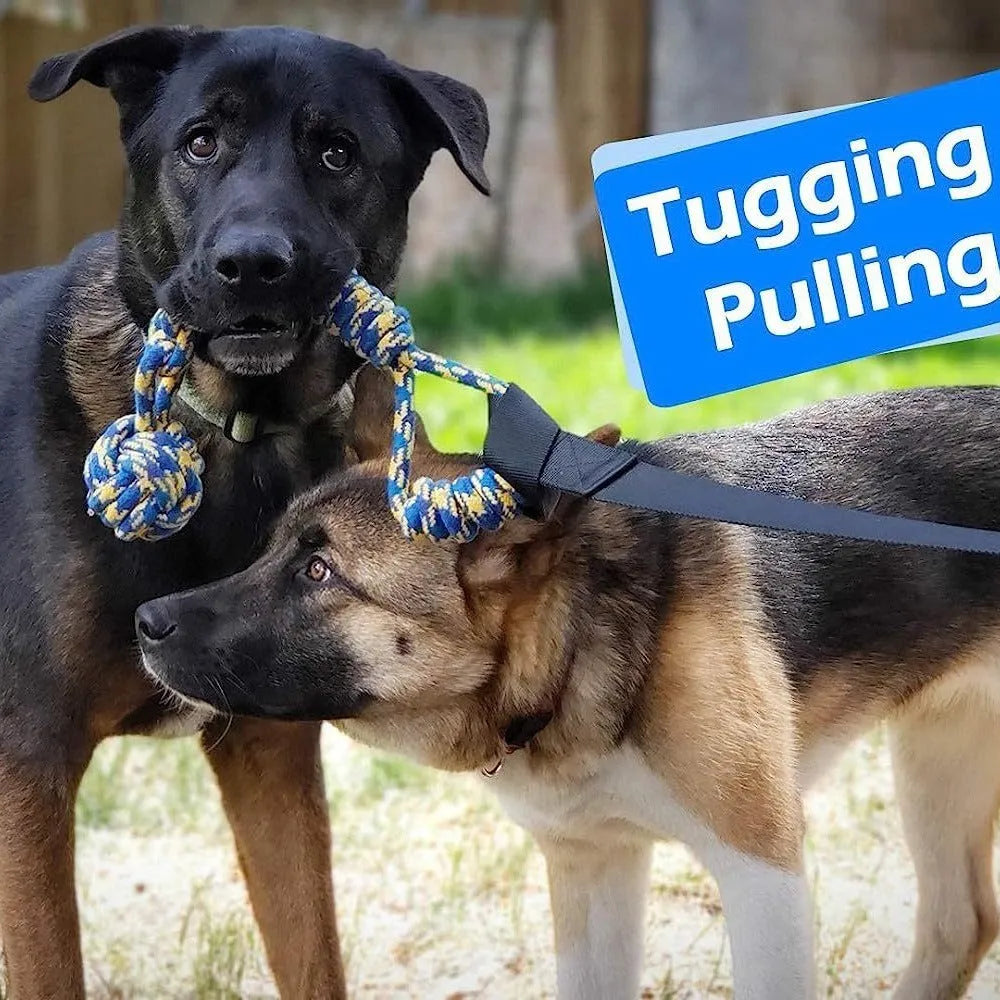 Cotton thread dog tug of war rope toy with four design variations for bite play