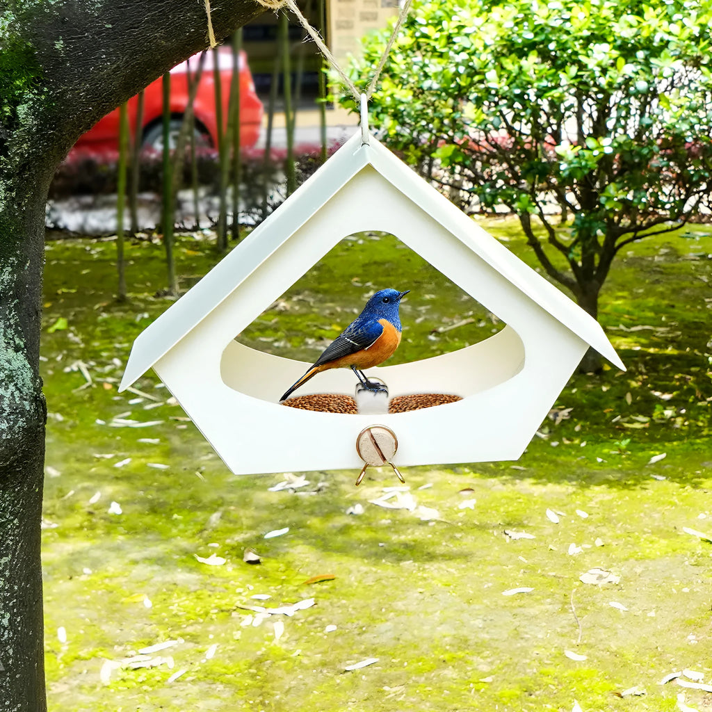 European-style modern iron bird nest decoration for outdoor garden bird shelter