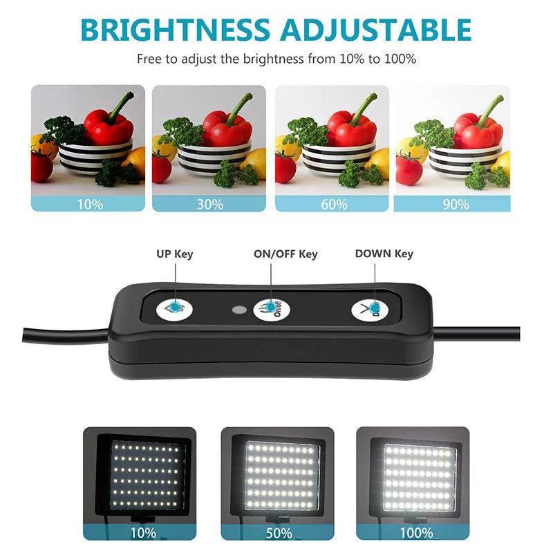 LED double lamp set with black mini tripods, extension rods, and colour filters on a white background