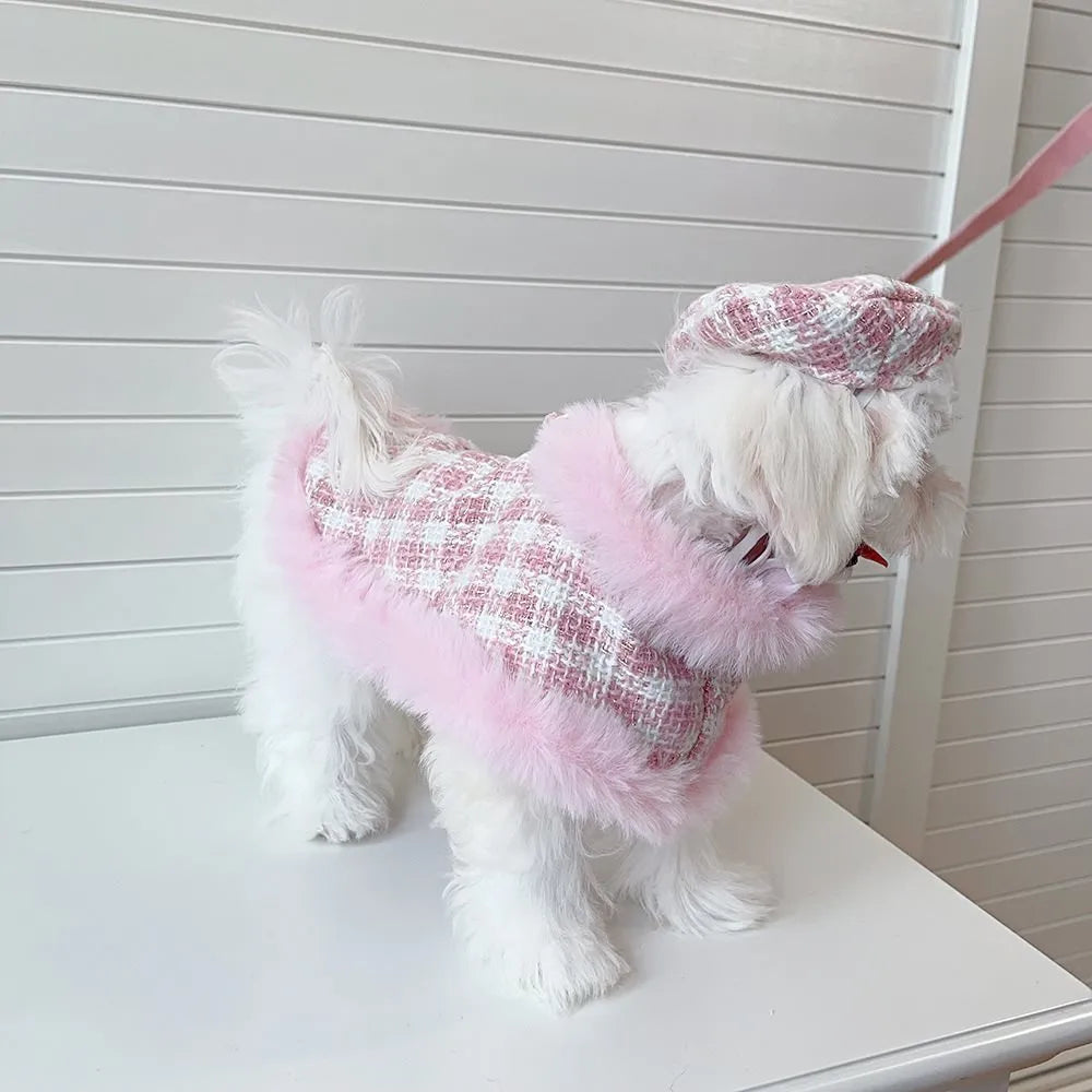 Cat wearing pink beret and matching cloak costume with hand-holding rope