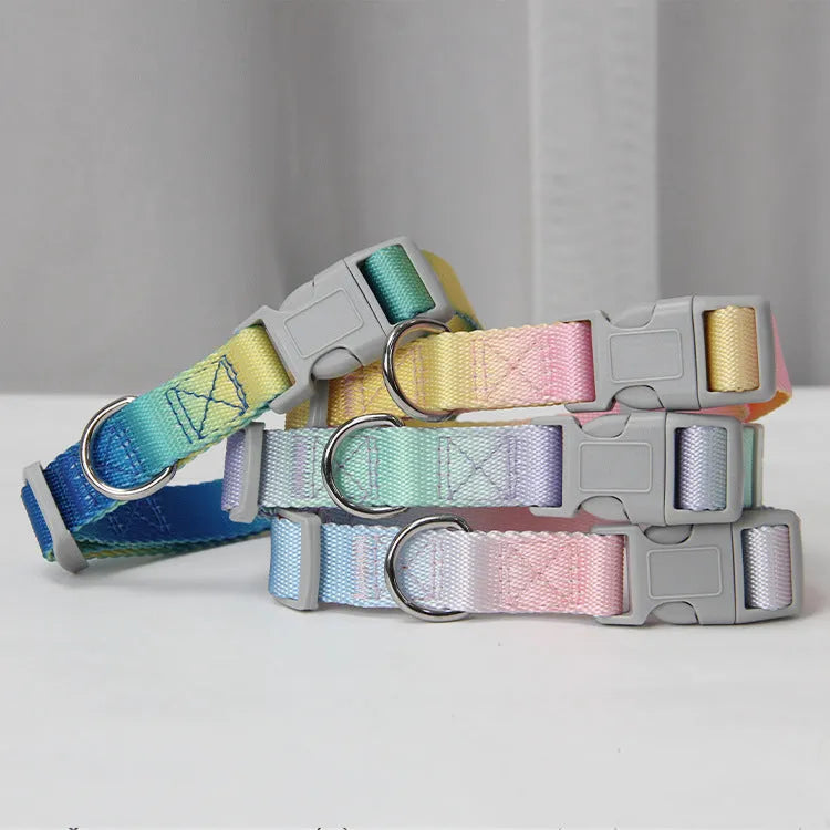 Gradient colour nylon dog leash set with collar and chest back harness options on a small dog.