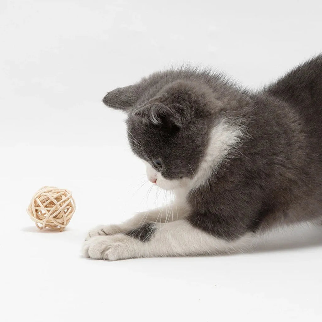 Two cat toys: rattan ball and faux feather ball with bell attachment for interactive play