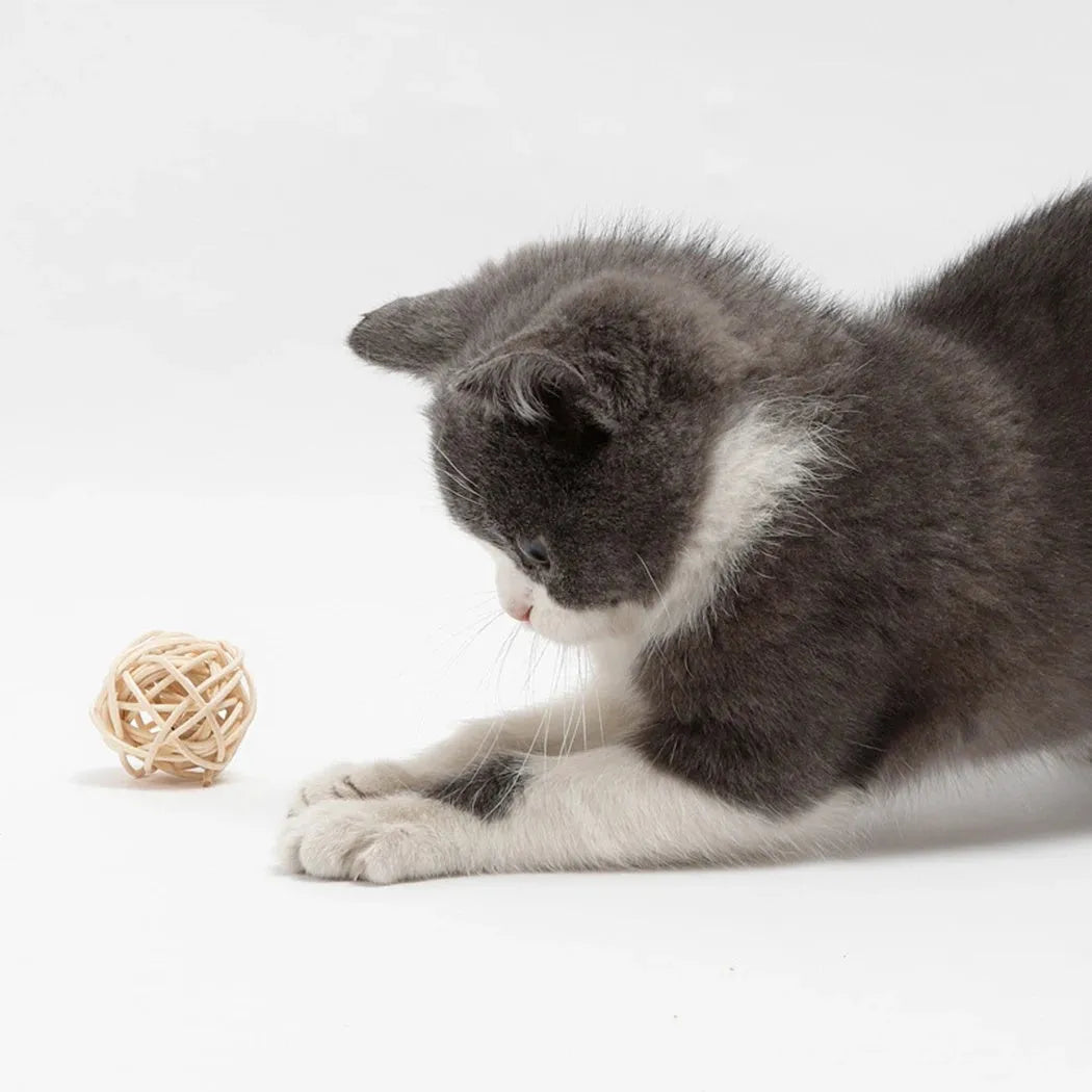 Two cat toys: rattan ball and faux feather ball with bell attachment for interactive play