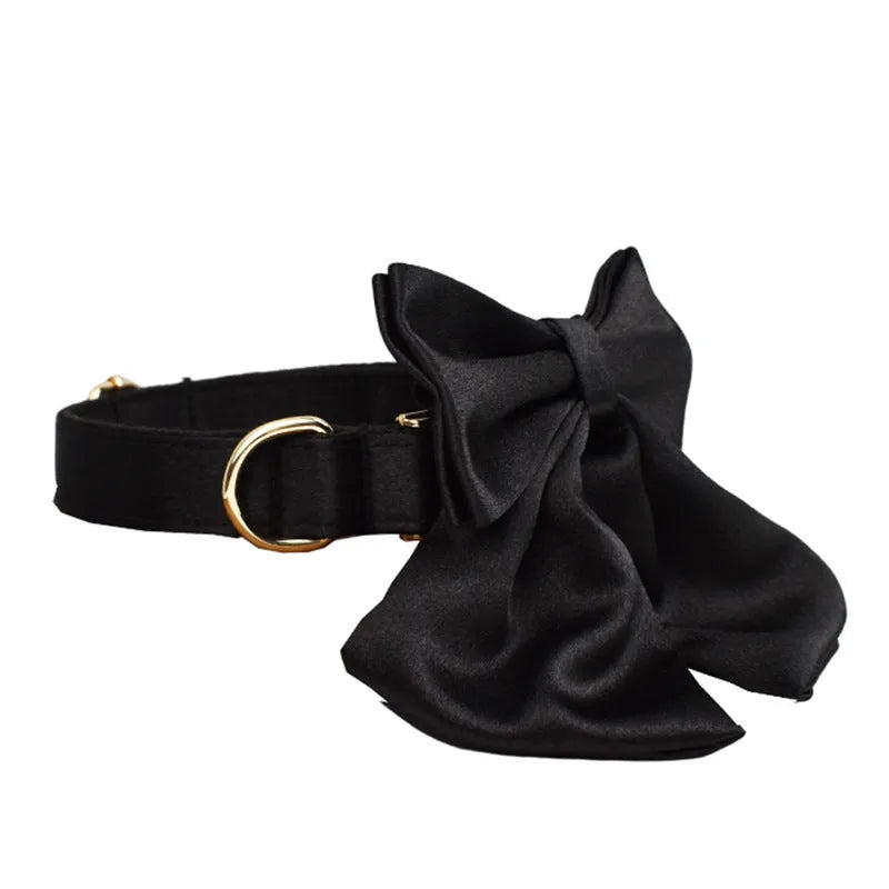 Complete dog accessory set showing collar, leash, bow and vest in cloth material