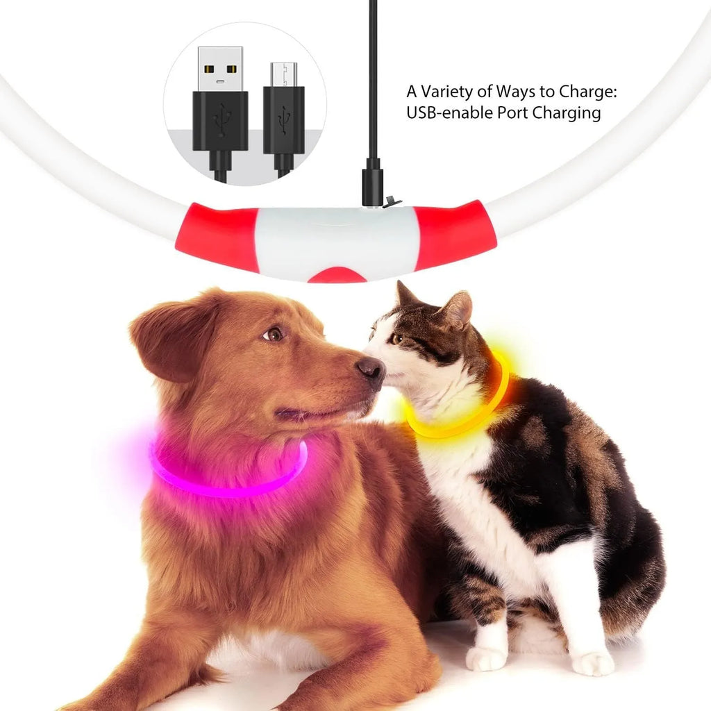 Blue USB rechargeable LED dog collar glowing with adjustable strap and USB charging port
