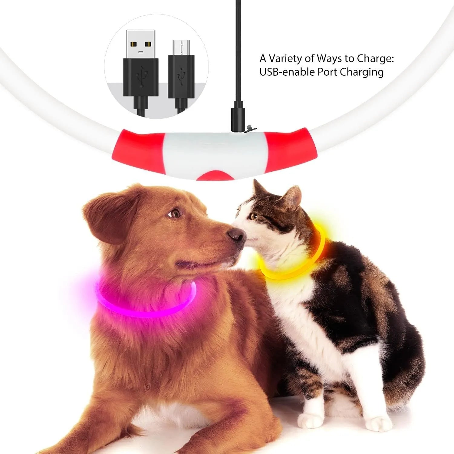 Blue USB rechargeable LED dog collar glowing with adjustable strap and USB charging port