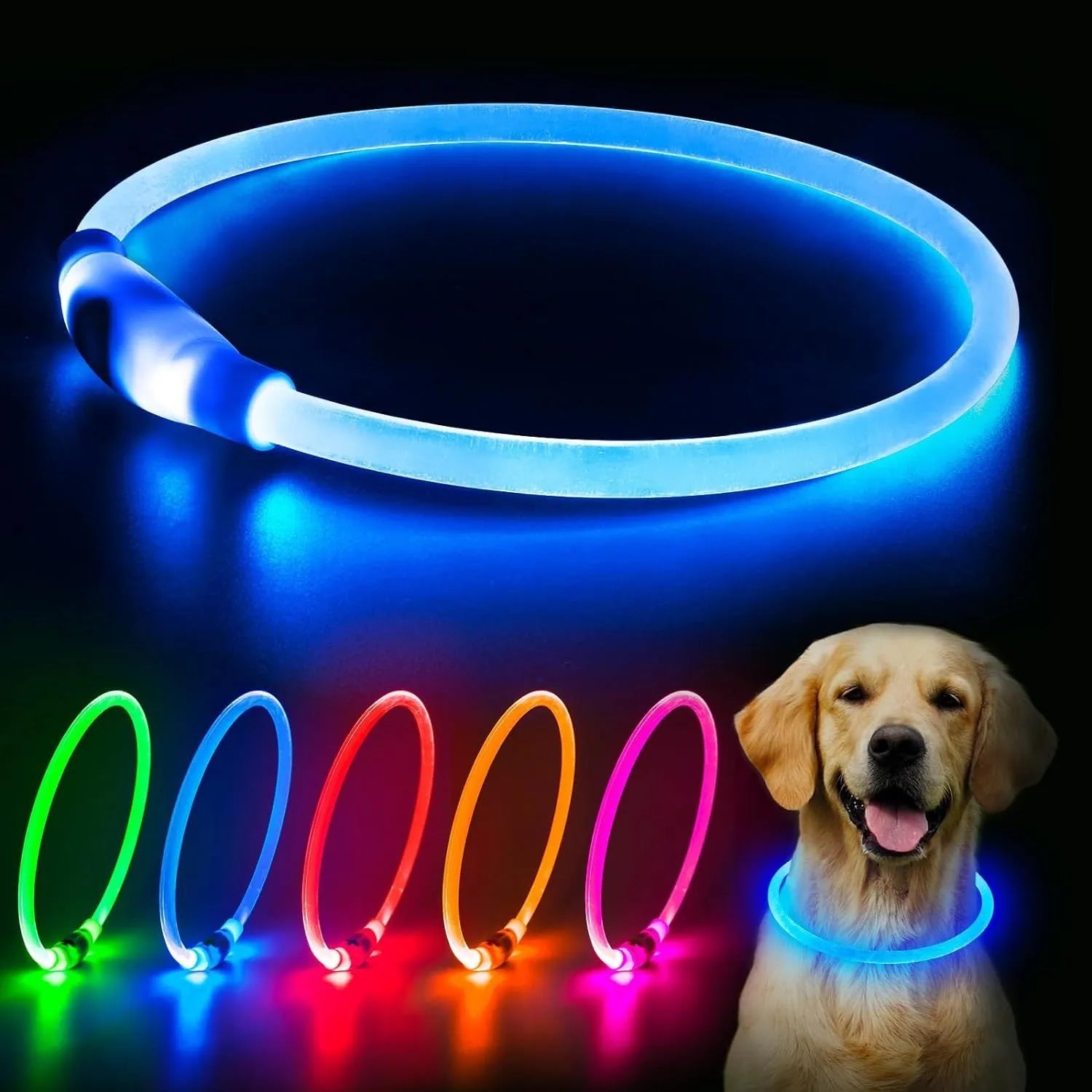 Blue USB rechargeable LED dog collar glowing with adjustable strap and USB charging port
