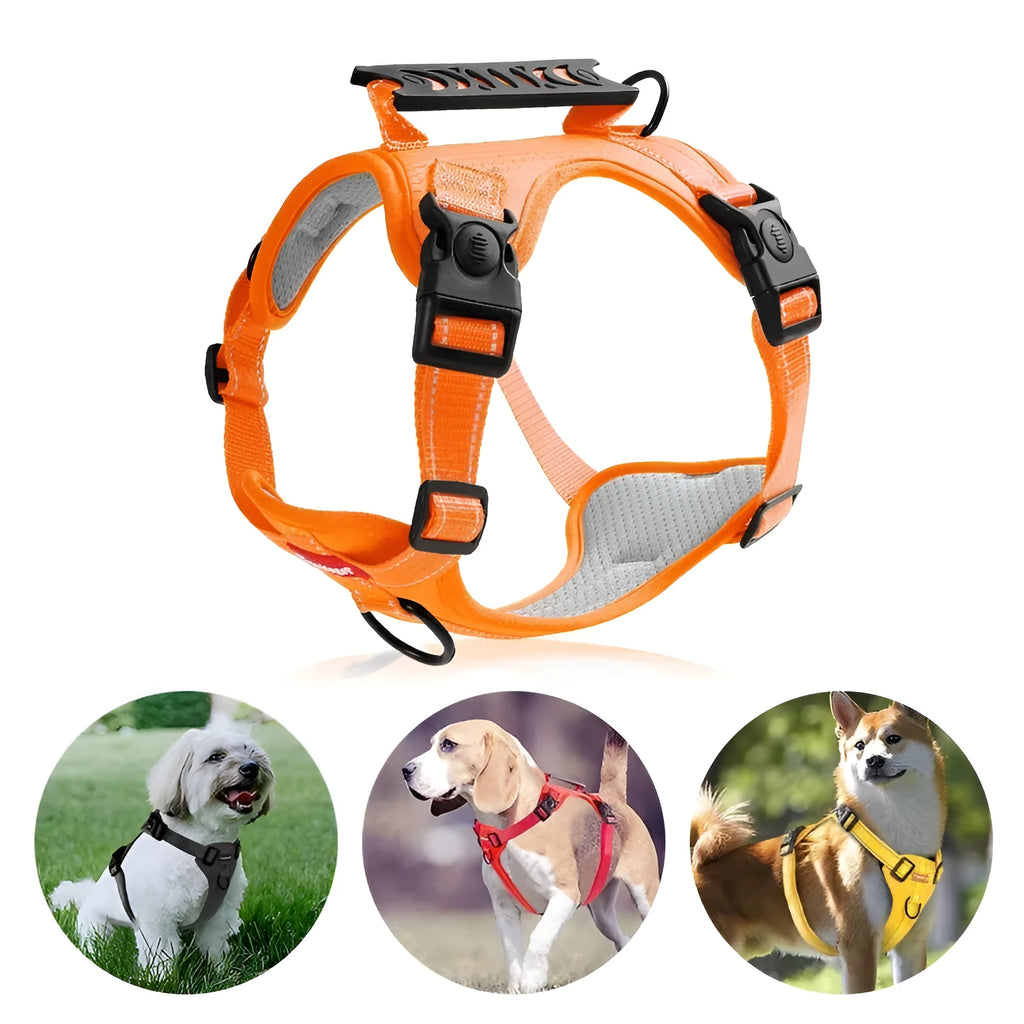 Adjustable polyester dog chest harness and traction rope in six colour options for secure walking