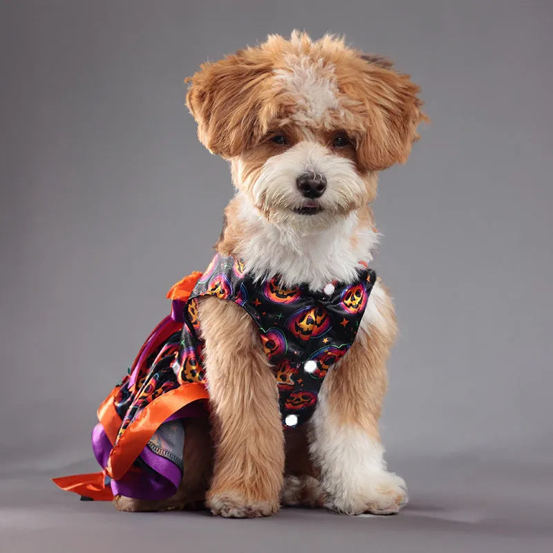Halloween pet skirt for dogs with colourful pumpkin or skull print in double-layer polyester construction