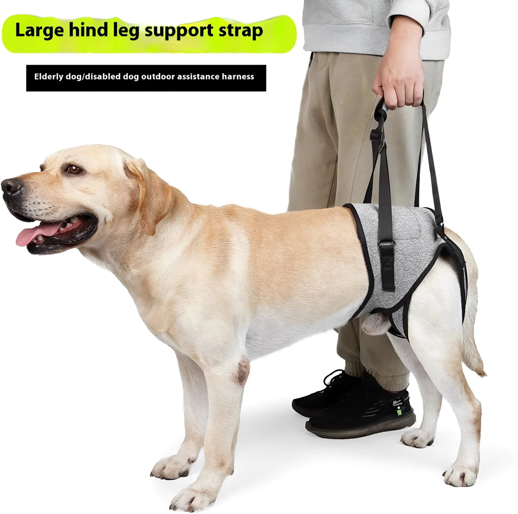 Neoprene dog recovery belt for rear leg support showing adjustable design and sizing options