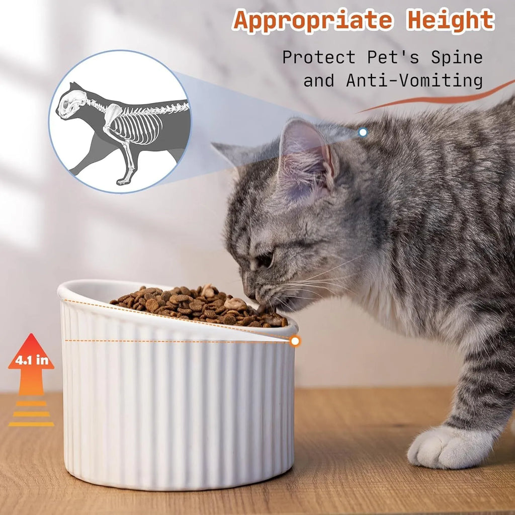 Ceramic elevated cat bowl in green or yellow with a tilted, round, whisker-friendly design.