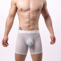 Men's nylon lace mesh boxers in low waist design available in five colour options