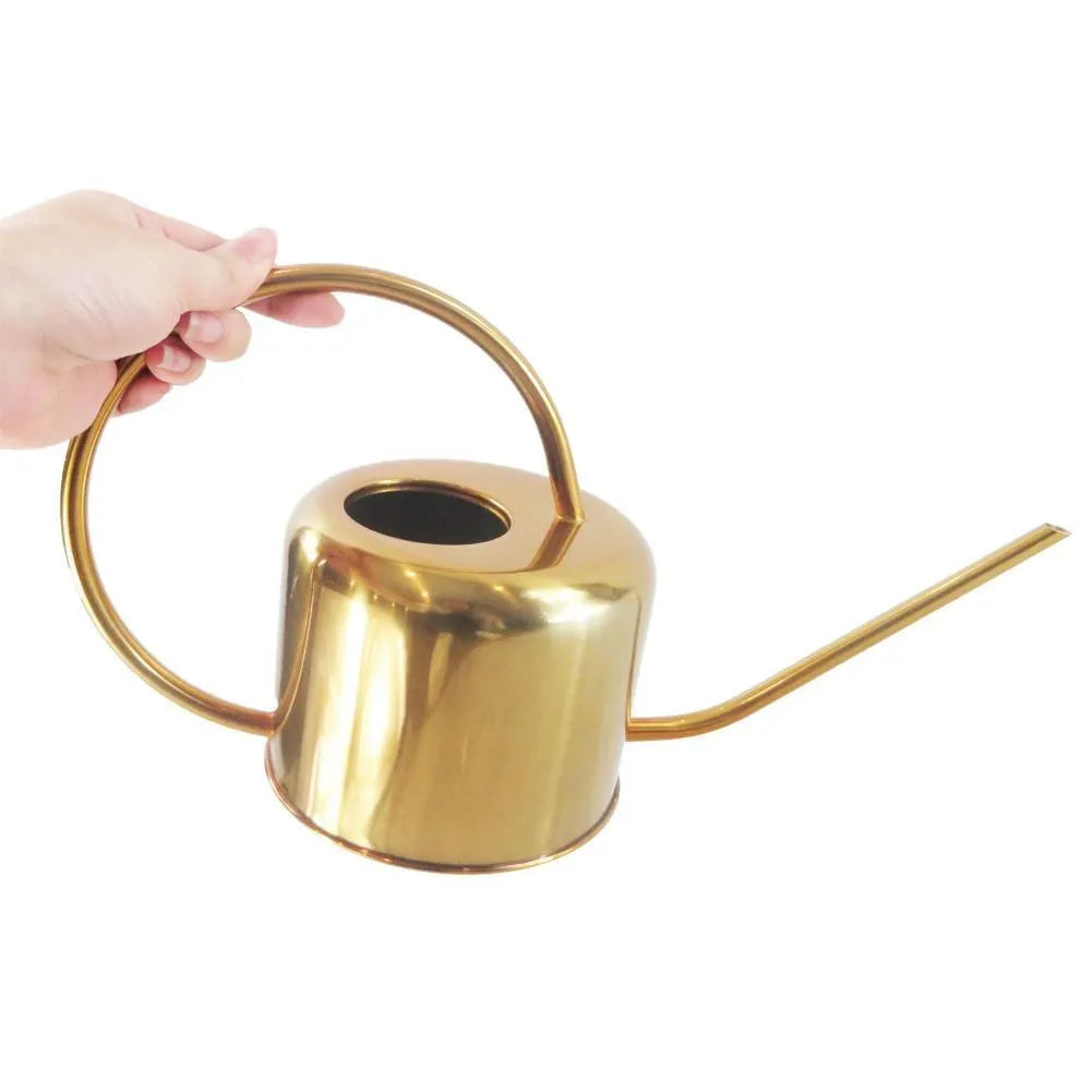 Stainless steel watering can with long spout, 2 litre capacity, shown in black, gold, and steel finishes.