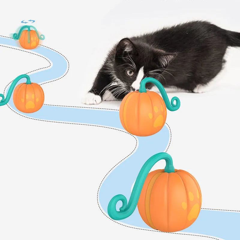 Automatic electric cat teasing ball with watermelon design showing plastic construction and approximately 9cm diameter